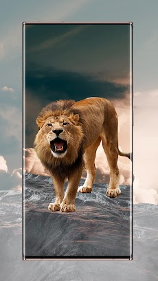 ライオンの壁紙のおすすめ画像3