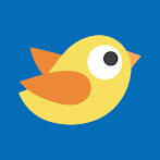 Bird flying