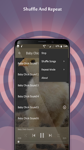 Baby Chick Sounds Screenshot 4 - AppWisp.com