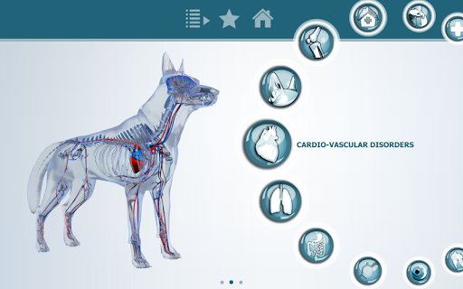 VisioCare Consult Screen 3