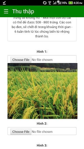 Thực địa Nông nghiệp Việt Nam Screenshot