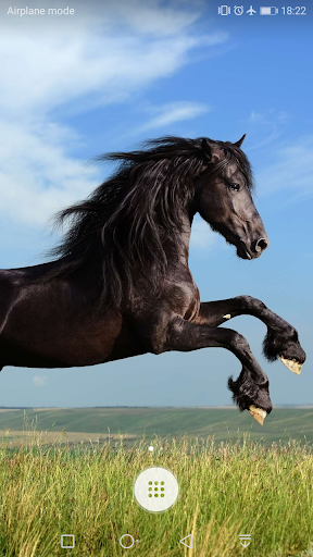 Horse Wallpaper