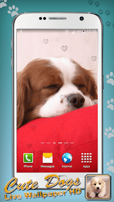 犬の壁紙 高画質 Androidアプリ Applion