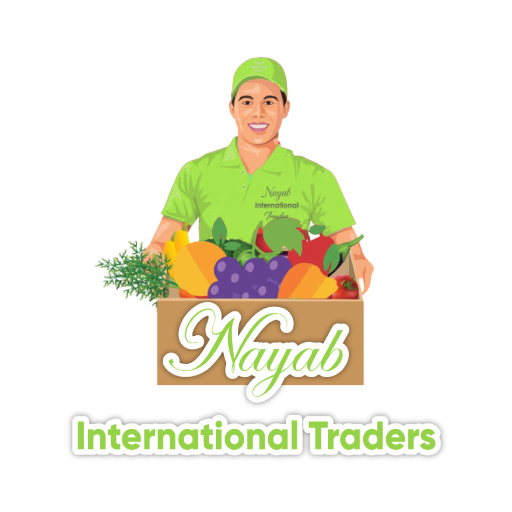 Nayab Delivery Boy logo