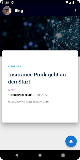 Insurance Punk Screen 3