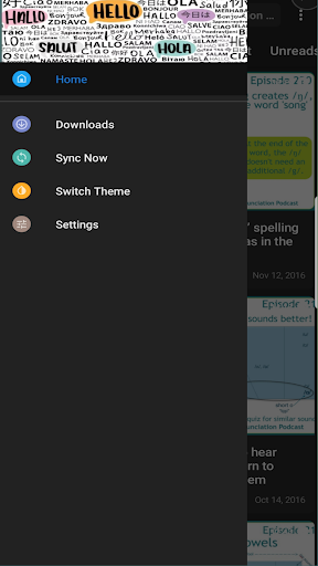 American English Podcast Screen 2