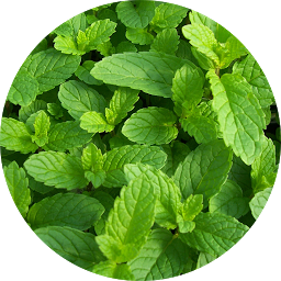 طب الأعشاب و فوائد الأعشاب