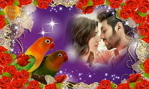Bird Photo Frame Screen 2