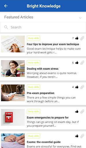 Brightside Mentoring Screen 3