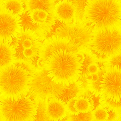 Dandelion Live Wallpaper logo