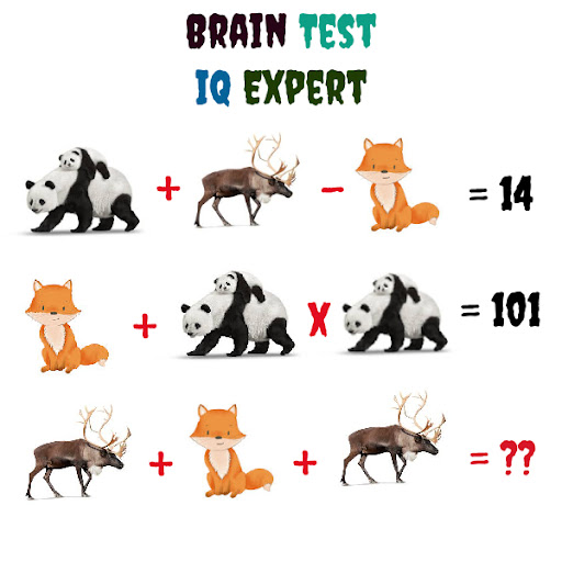 Brain Game - Quiz Game Screen 3