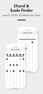 Fender Guitar Tuner 4