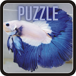 Cover Image of Baixar Puzzle Ikan Cupang - Betta Fish Game 1.1 APK