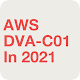 [2021] AWS Cert. Developer Associate (DVA-C01) Download on Windows