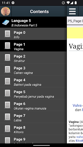Pratinjau aplikasi