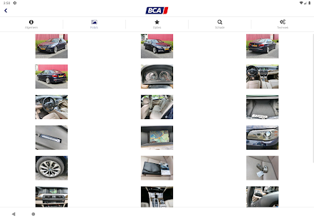 BCA Autoveiling Screenshot