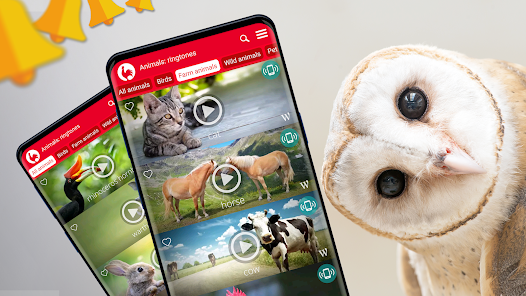 Animais Falantes – Apps no Google Play
