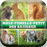 Femelle des animaux- Noms des animaux en Français