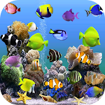 Cover Image of Download Aquarium Video Live Wallpaper  APK