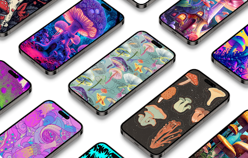 Android application Mushroom wallpapers HD screenshort