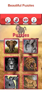 Wildlife Africa Games For Kids