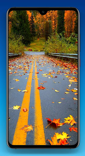 Road Wallpaper 4K Screen 2