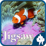 Sea Life Jigsaw Puzzles icon