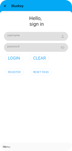 Bluekey Screen 2
