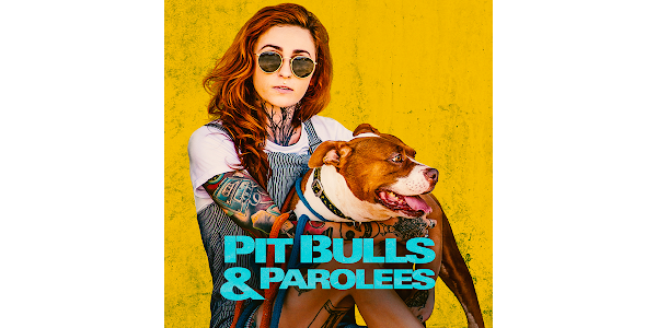 Pit Bulls and Parolees Season 2 TV on Google Play