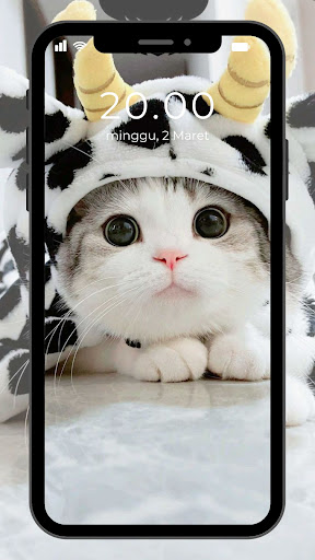 Wallpaper Kucing Lucu Screen 2