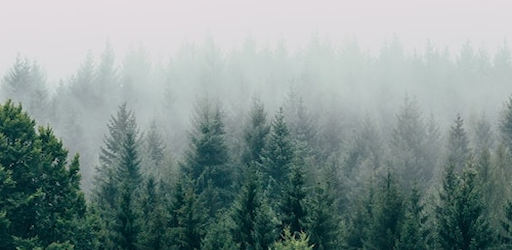 DivineVerse - Daily Verse App