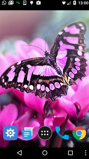 pink black butterfly wallpaper Screen 2