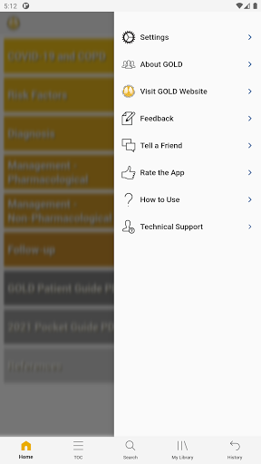 GOLD 2021 Pocket Guide
