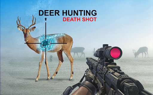 Sniper Wild Animal Hunting 3D