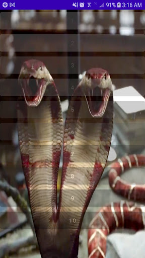 Two Headed Cobra Sounds Screen 2