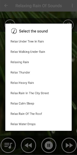 Relaxing Rain & Thunder Sounds Screen 2