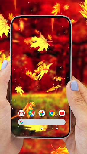 Autumn Leaves Falling Down