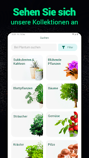 Plantum - Pflanzen bestimmen Screenshot