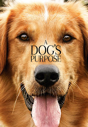 Icon image A Dog's Purpose