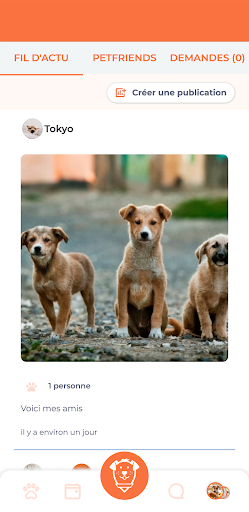 PetClub Screen 3