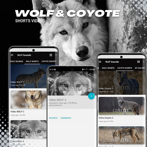 Screenshot of Wolf Sounds-videos-wallpaper