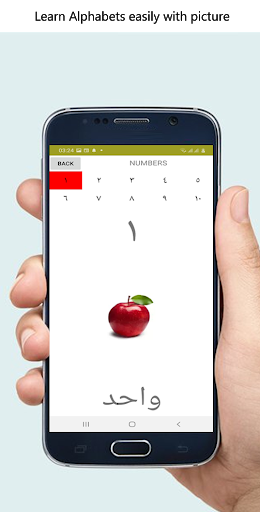 Learn Arabic Screen 3