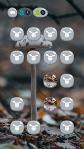 Mushroom Matchup Memory