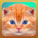 Cover Image of Download Cat Kitten Meow Sound Board  APK