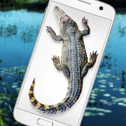 Crocodile in Phone Big Joke - iCrocodile