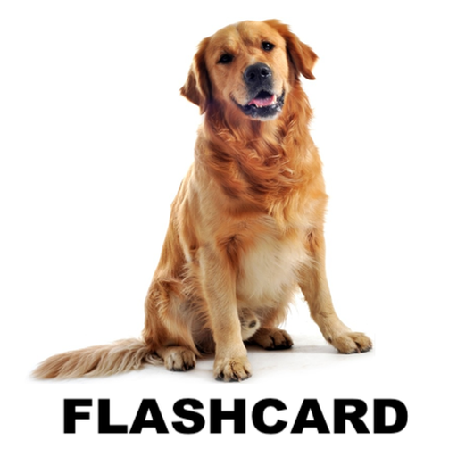 Flashcard Japanese beginner 1.1.0 Icon
