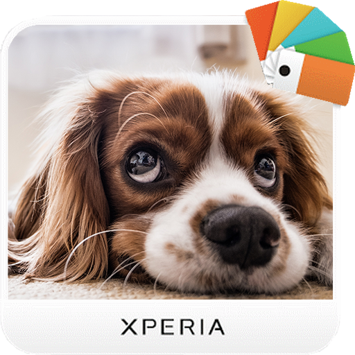 Xperia Theme - Dogs 1.0.0 Icon