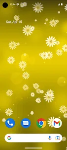 Daisy Flower Live Wallpaper