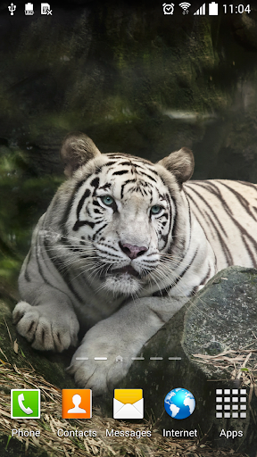 Android application Tiger Live Wallpaper screenshort