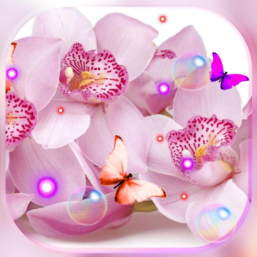 Orchide Pink live wallpaper  Icon